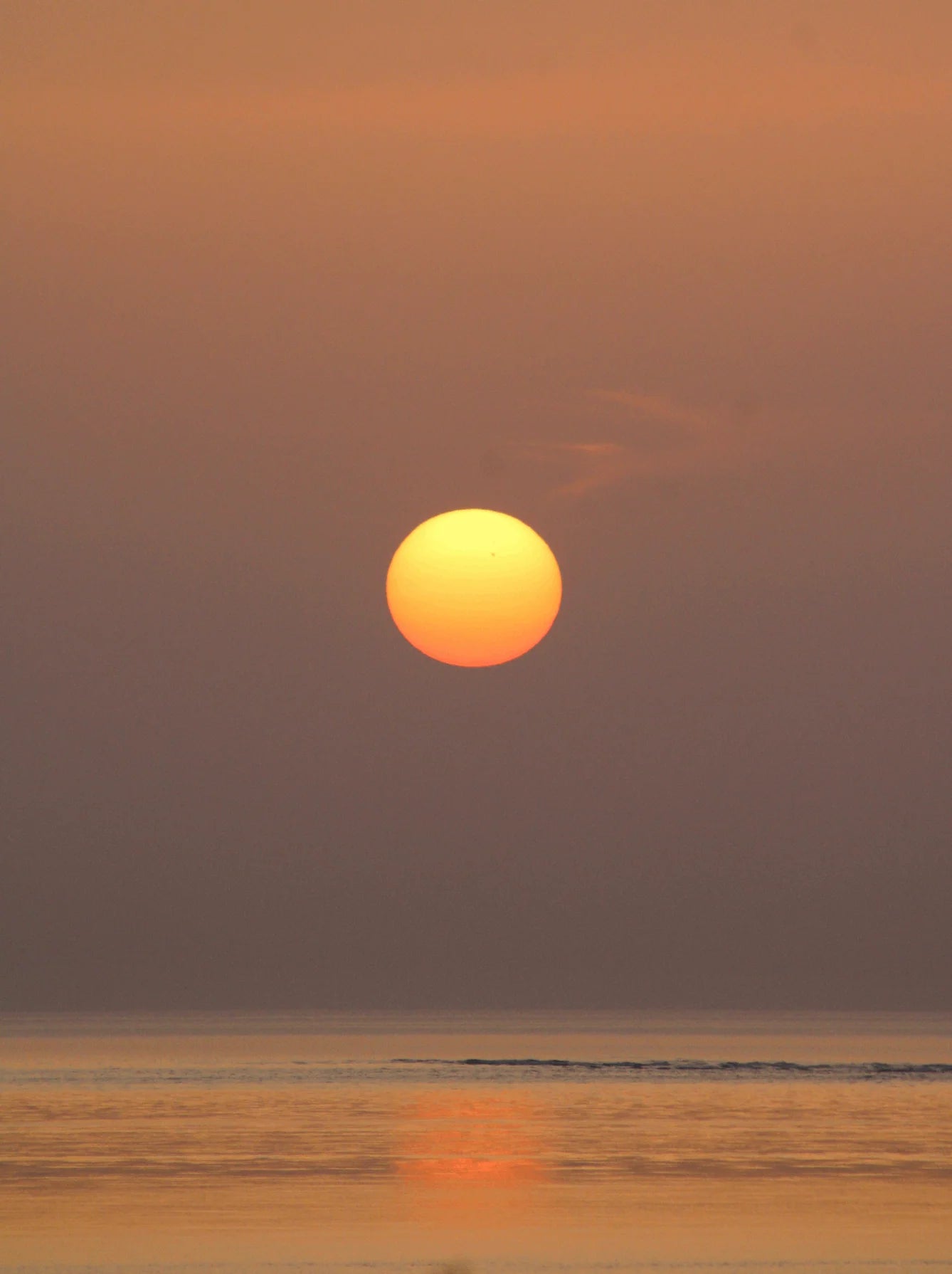 Sunlight - 50X70 - Destockage