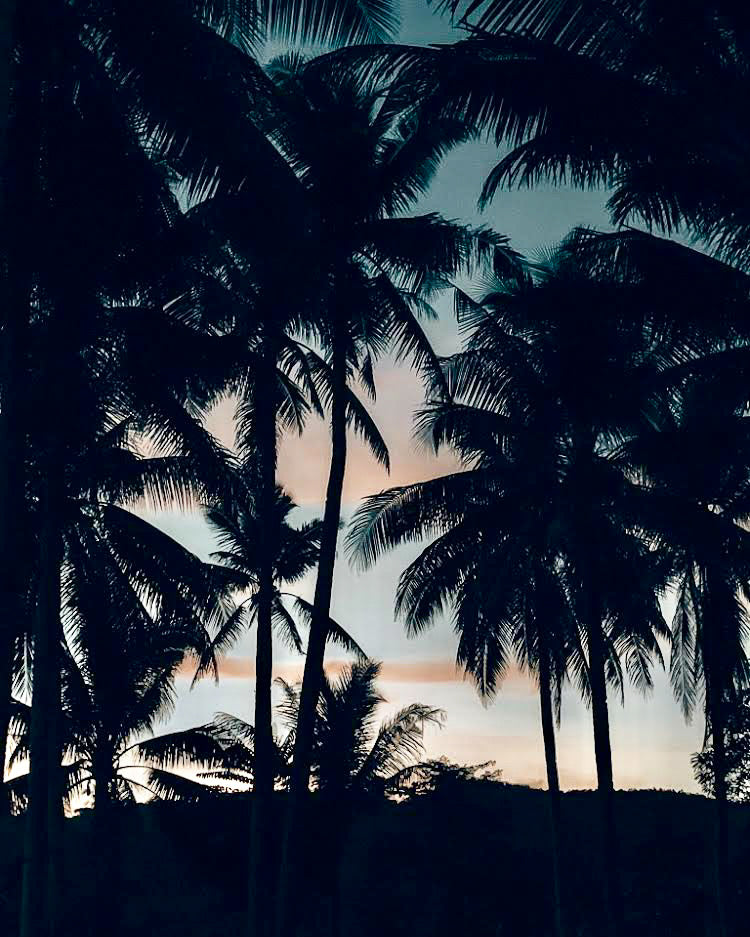 Siargao, palmier sur ciel rose.