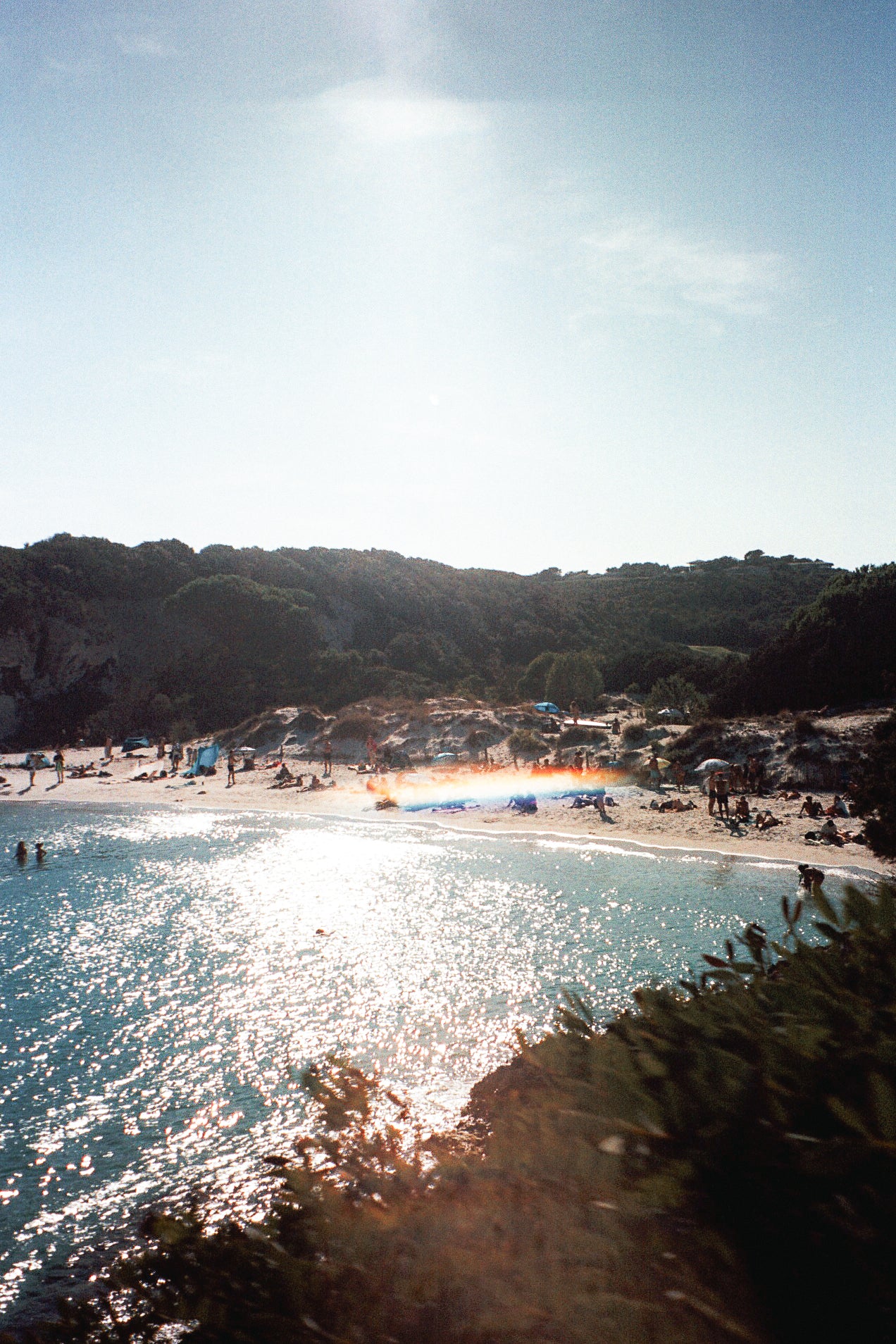 Petit Spérone , sur pellicule # 08