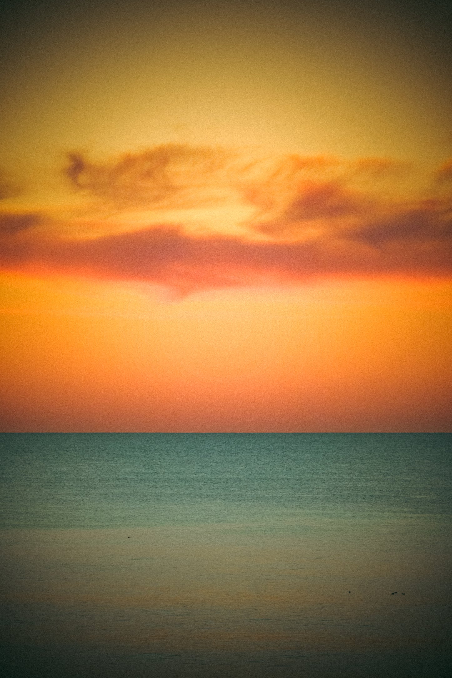 l'horizon - Les landes