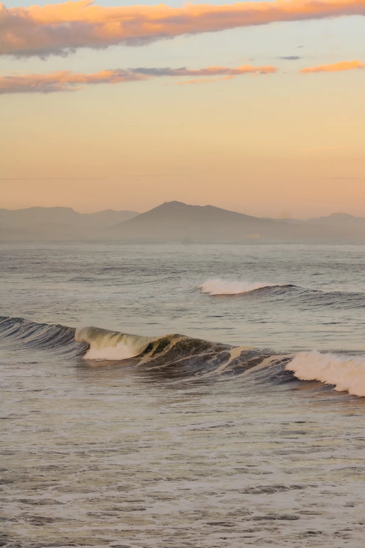 Océan - Biarritz