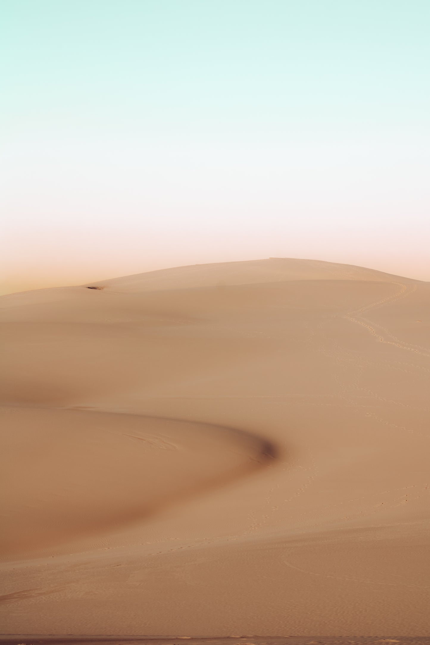 Dune