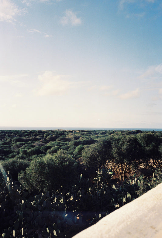 A l'horizon Menorca.