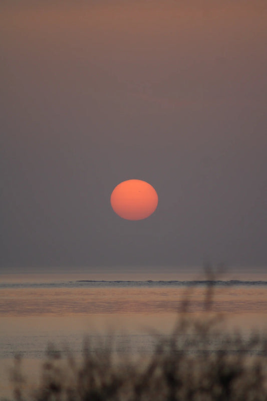 Pink Moon - 30X40 - Destockage