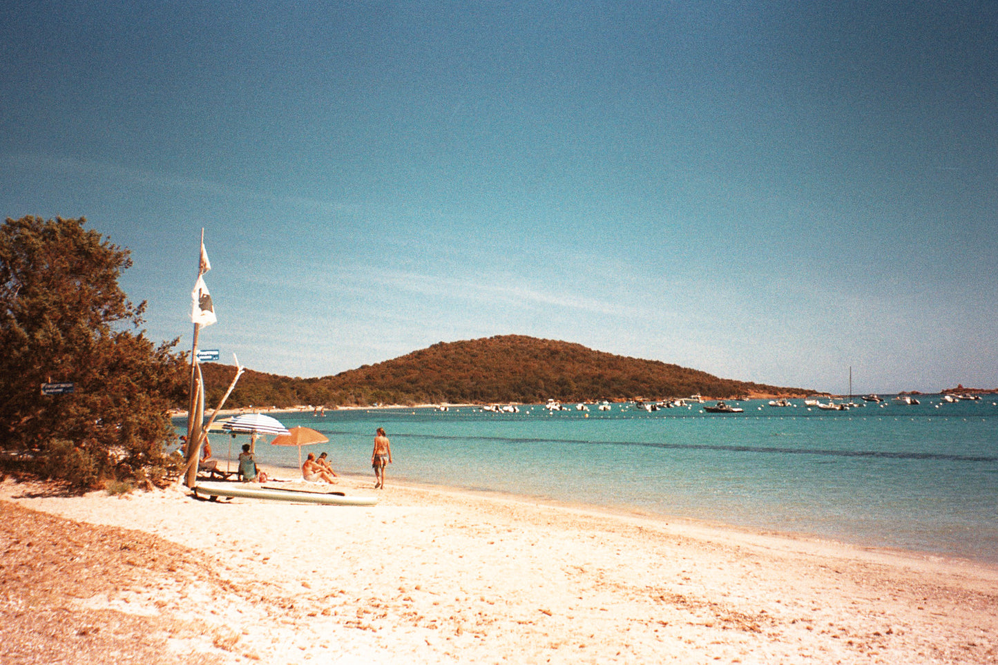 Douceur de Saint Cyprien.